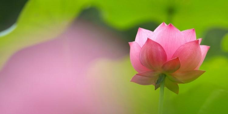 Người bệnh có thể bị vỡ bàng quang