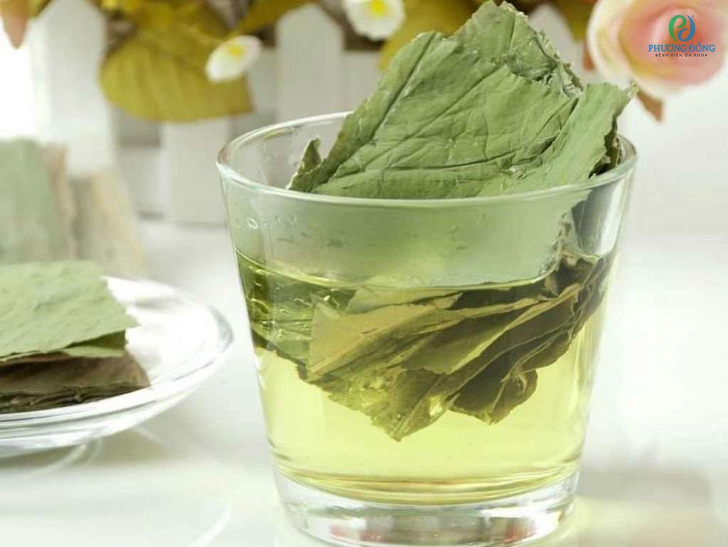 Lá sen thúc đẩy quá trình chuyển hóa chất béo và cải thiện chức năng gan