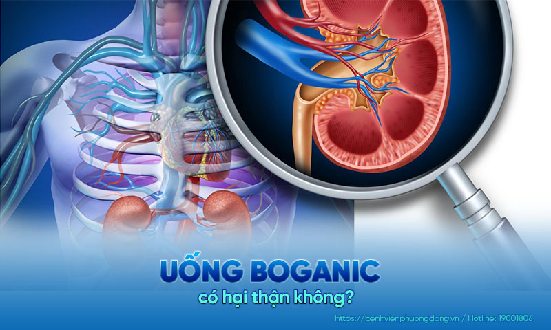 Giải đáp thắc mắc: Uống boganic có hại thận không?