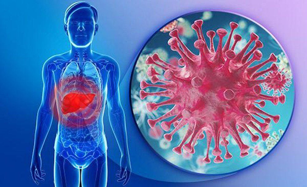 Viêm gan virus B: Phát hiện sớm – Điều trị đúng | Giúp phòng xơ gan & Hayhay88 Truy cập website gan