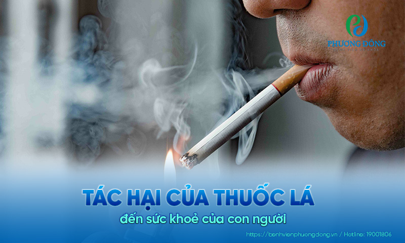 Tác hại của thuốc lá đến Hay 888 Đăng nhập ngay của con người