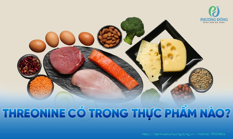 Threonine có trong Hay88m casino trực tuyến nào?