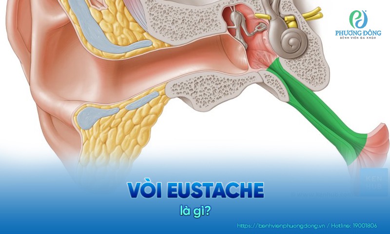 Vòi Eustache là gì? Những bệnh lý liên quan và hướng Hay88 là nhà cái cá cược hàng đầu Việt Nam và châu Á