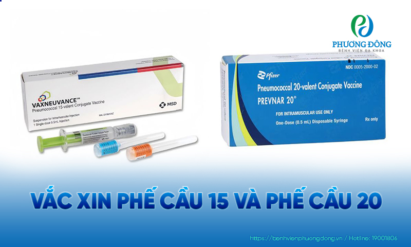 Vắc xin phế cầu 20 có thể ngừa được nhiều chủng phế cầu hơn vắc xin phế cầu 15