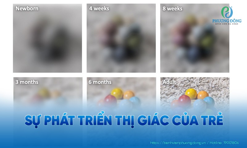 Sự phát triển thị giác của trẻ: Các mốc quan trọng từ 1 - 8 tháng tuổi
