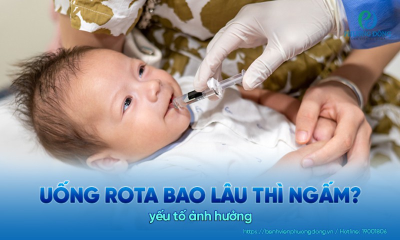 Uống rota bao lâu thì ngấm thuốc? Yếu tố ảnh hưởng đến thời gian ngấm