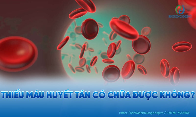 Thiếu máu huyết tán có chữa được không?