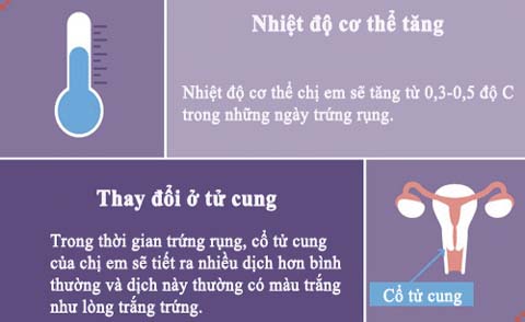 làm thế nào để trứng rụng